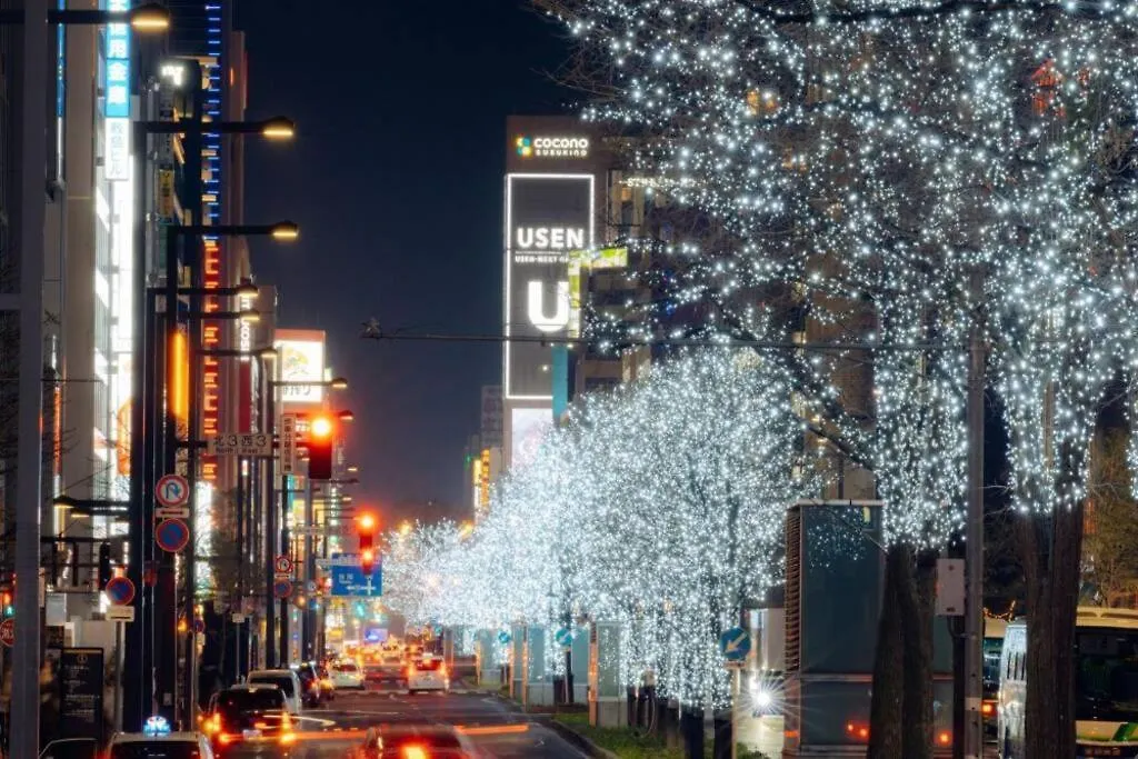 Appartamento Nemophila Sapporo